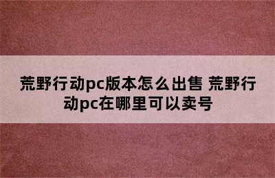 荒野行动pc版本怎么出售 荒野行动pc在哪里可以卖号